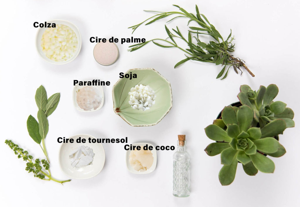 Cire de Colza vs Cire de Soja : Comprendre la Différence pour une  Expérience Parfumée Exceptionnelle
